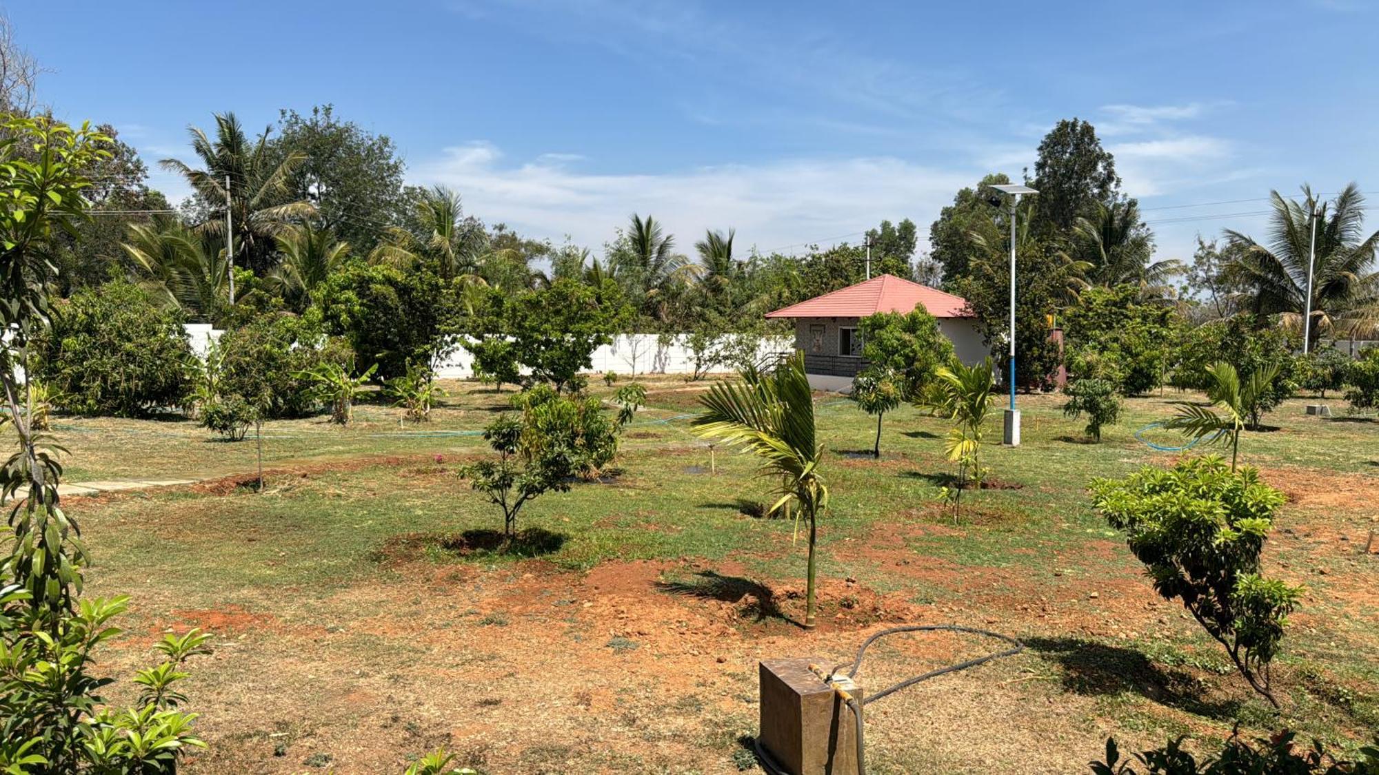 Raj Home Stay Mysore Εξωτερικό φωτογραφία