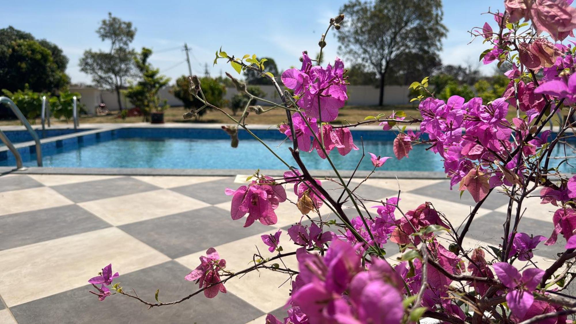 Raj Home Stay Mysore Εξωτερικό φωτογραφία